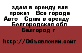 здам в аренду или прокат - Все города Авто » Сдам в аренду   . Белгородская обл.,Белгород г.